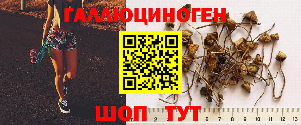 Галлюциногенные грибы Magic Shrooms Будённовск