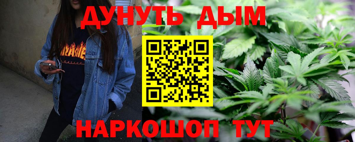 Бошки Шишки Будённовск