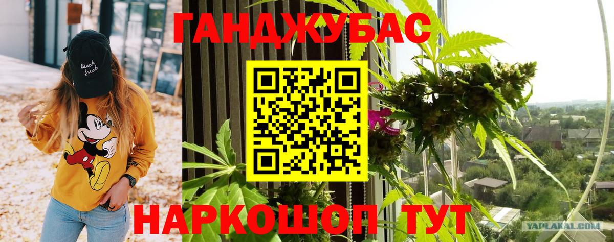 Шишки марихуана Bruce Banner  Шишки марихуана конопля  Будённовск  Вход с VPN 